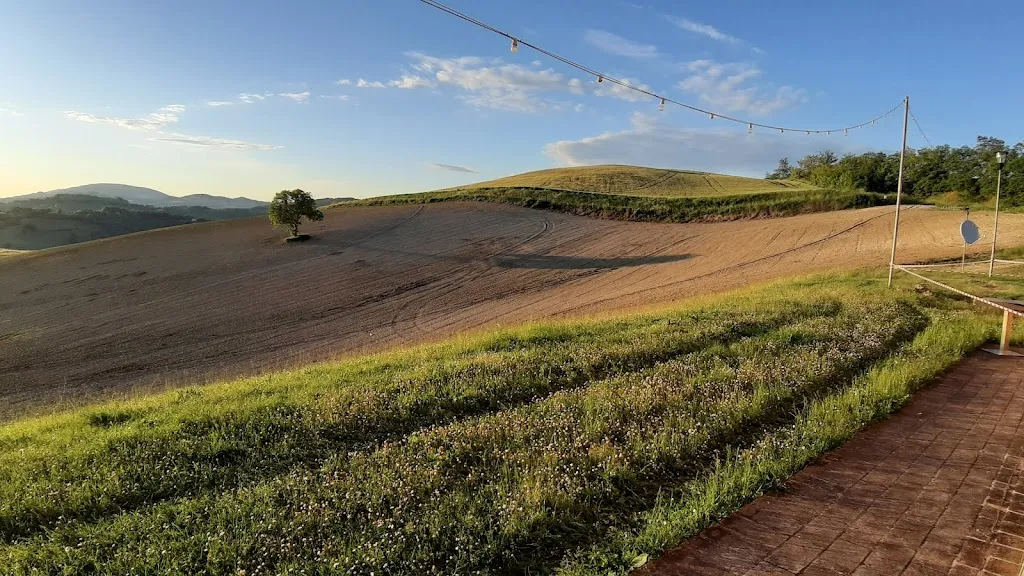 Giovi-56_La Collina da Biducci_Sassoferrato_review