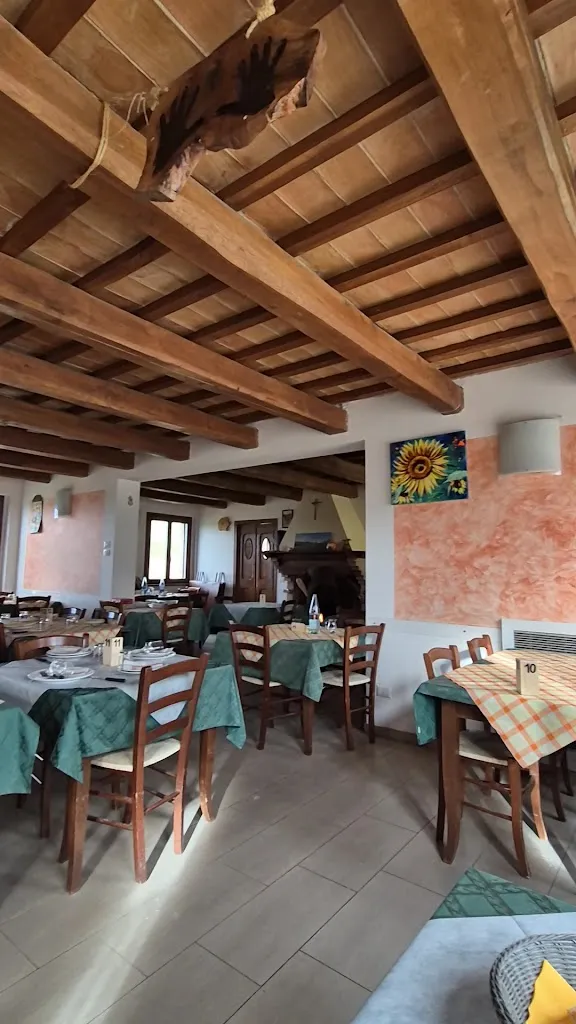 La Collina da Biducci_Sassoferrato_slider_image_2