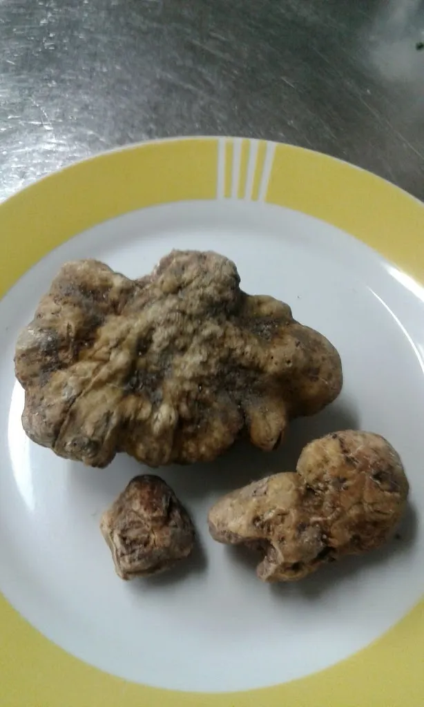 Ristorante Albergo Appennino_Sassoferrato_slider_image_2