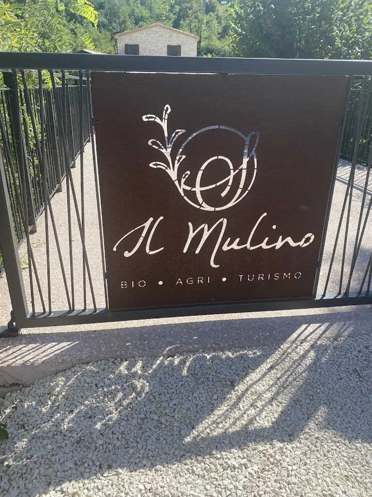 Silvia Cesaretti_Il Mulino Agriturismo_Sassoferrato_review