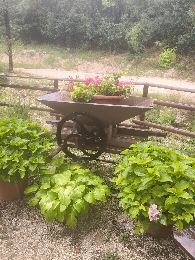 Moni Susy_Ristorante Le Cafanne_Serra Sant'Abbondio_review