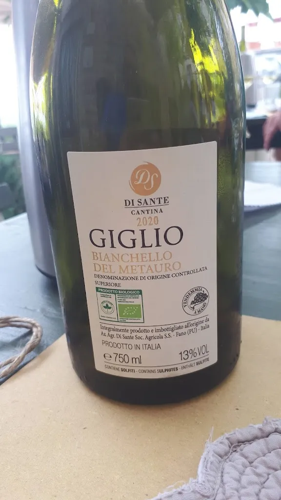 Menu_Antica Osteria e Bed & Breakfast Da Gustin_Serrungarina_image_1