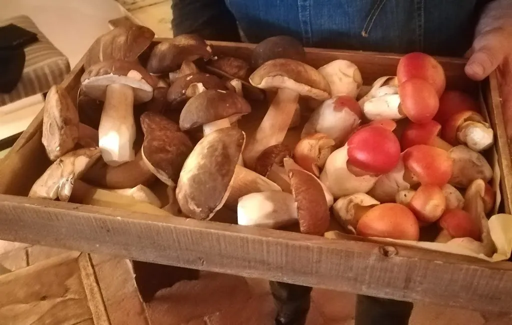 Menu_Antica Osteria e Bed & Breakfast Da Gustin_Serrungarina_image_6