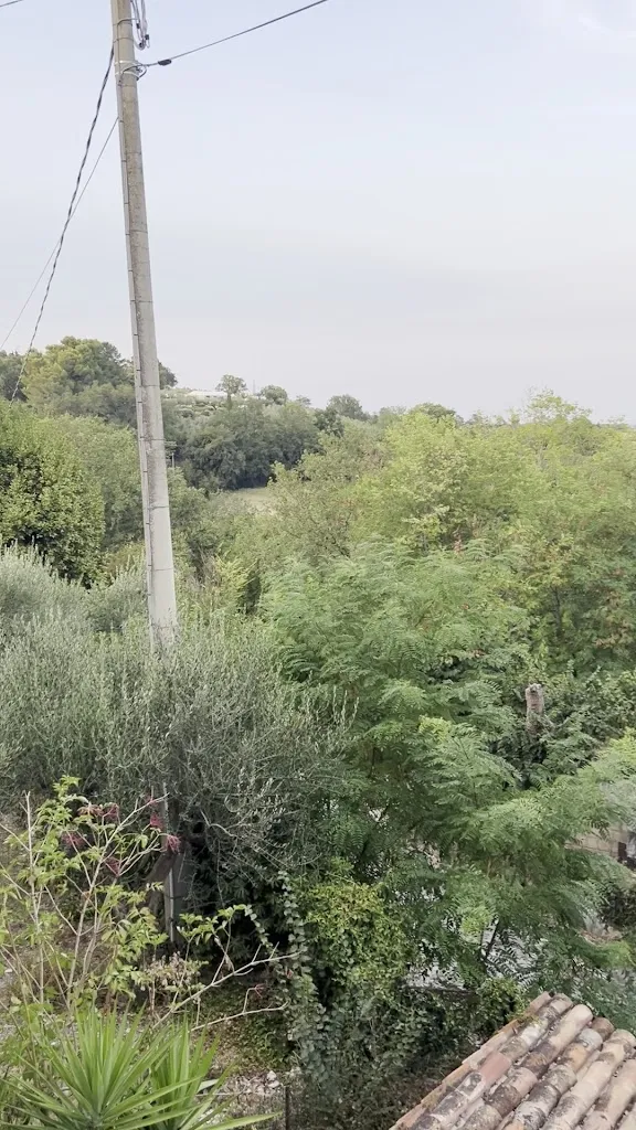 Rocke Fellert_Antica Osteria e Bed & Breakfast Da Gustin_Serrungarina_review