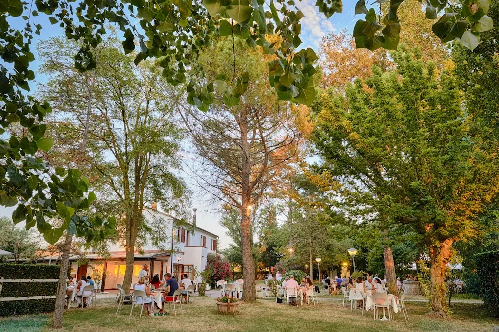 Il ritorno_Sirolo_slider_image_3