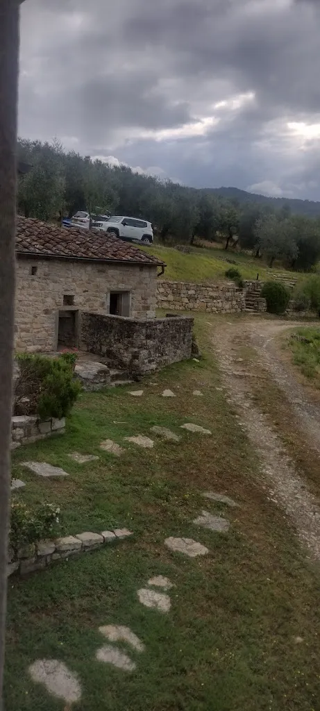 julie ferguson_Castello del Trebbio_Trebbio_review