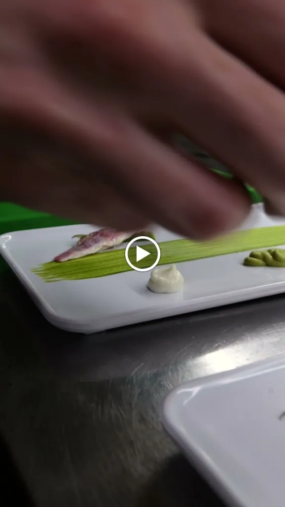 Tajamare Osteria di Mare_Senigallia_slider_image_2