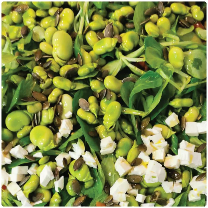 Menu_Sole & Sapore Senigallia_Senigallia_image_7