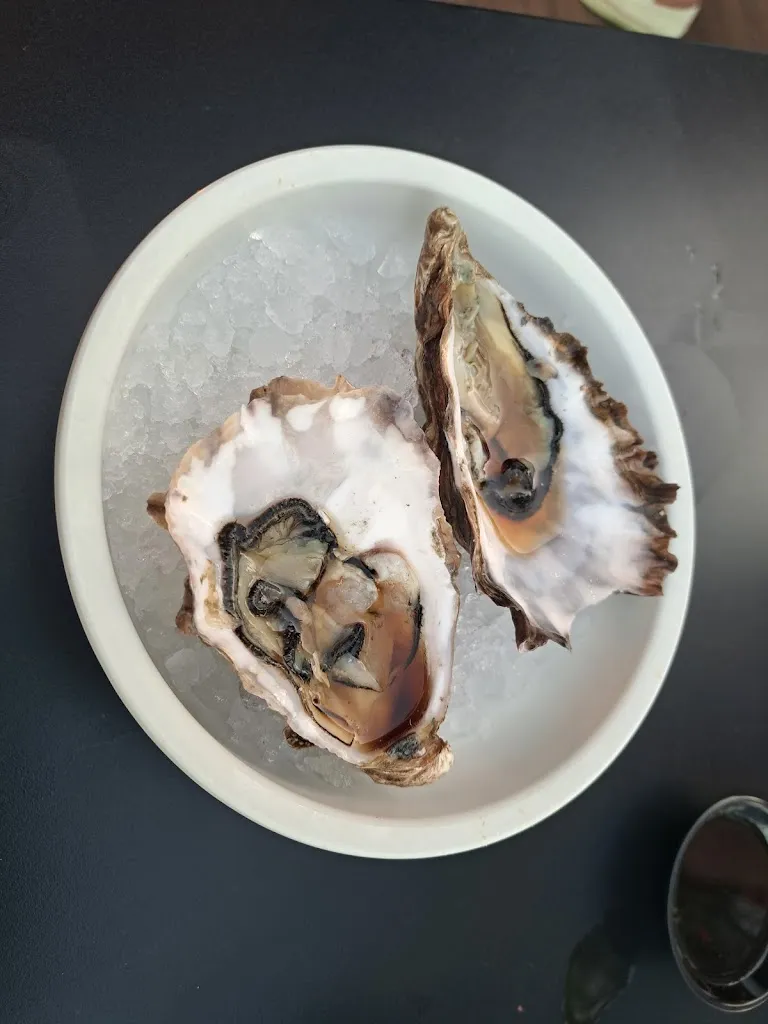 Menu_Wasa Sushi - Senigallia_Senigallia_image_8