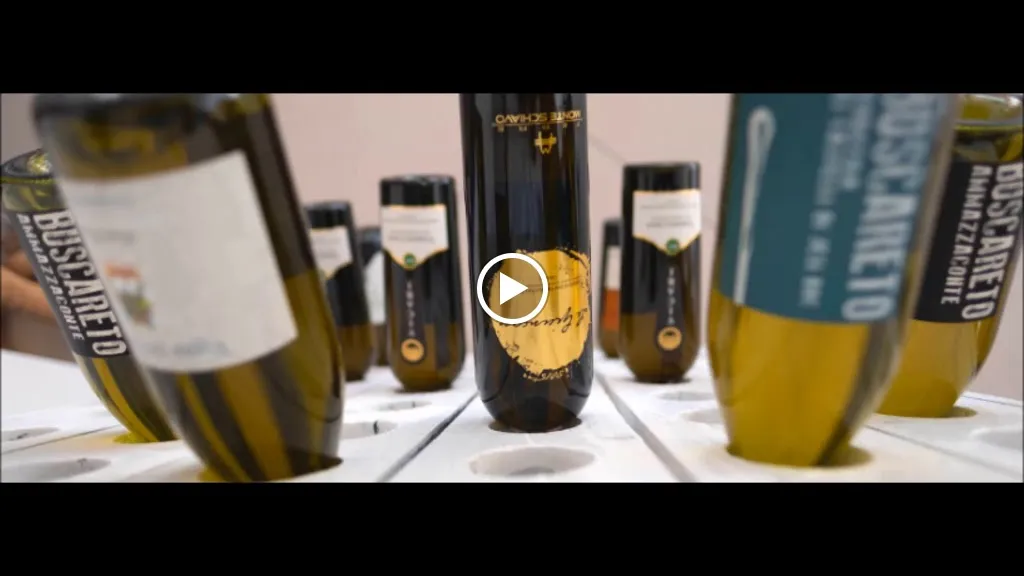 Maremoto Beach Restaurant_Senigallia_slider_image_2