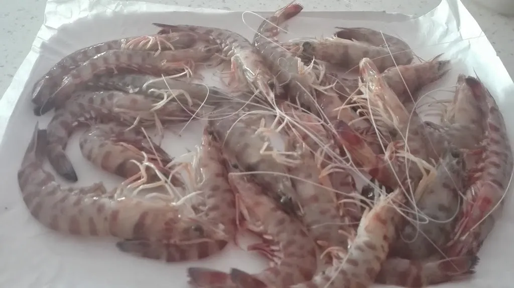 Menu_C'E' Pizza Per te di lerro luigi_Villa Musone_image_3