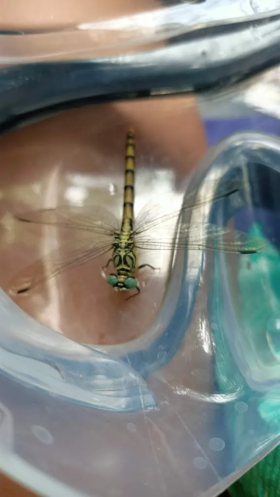 Francesco Moauro_Santa Lucia Park_Agnone_review