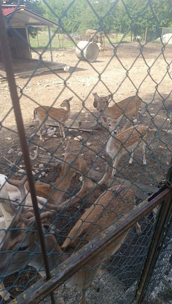 Roberto P_MASSERIA CECCONE_Campochiaro_review