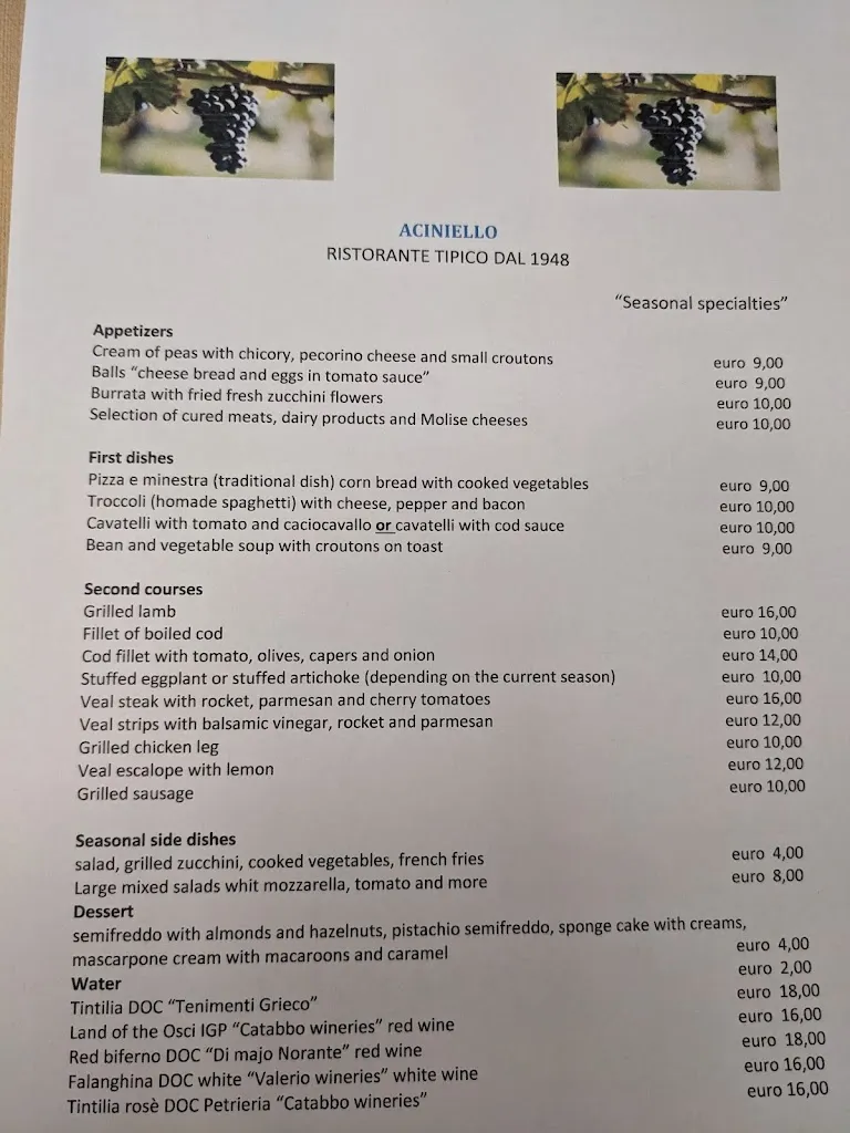 Menu_Ristorante Aciniello_Busso_image_3