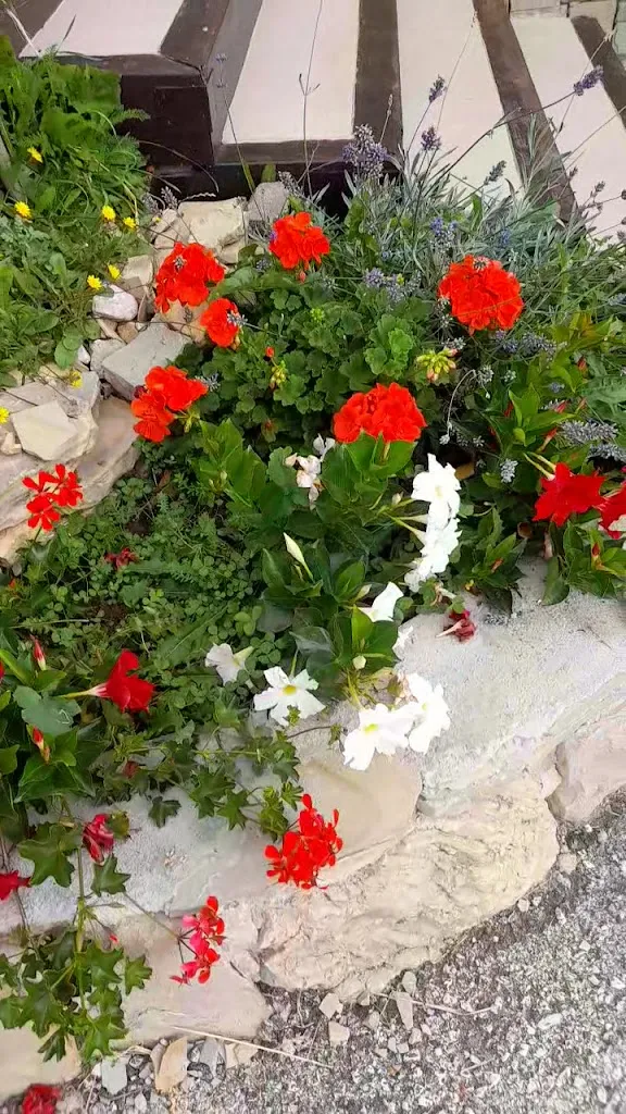 Ristorante Santa Lucia_Capracotta_slider_image_2