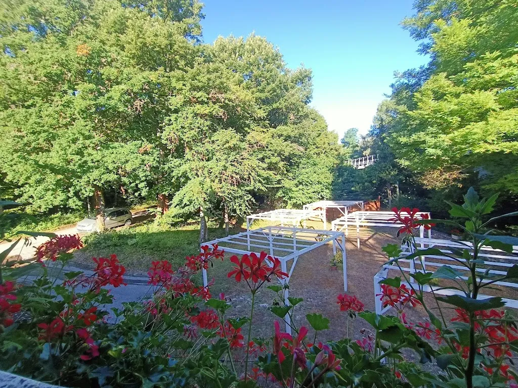 Paolo Bettini_Vecchio Mulino_Castel del Giudice_review