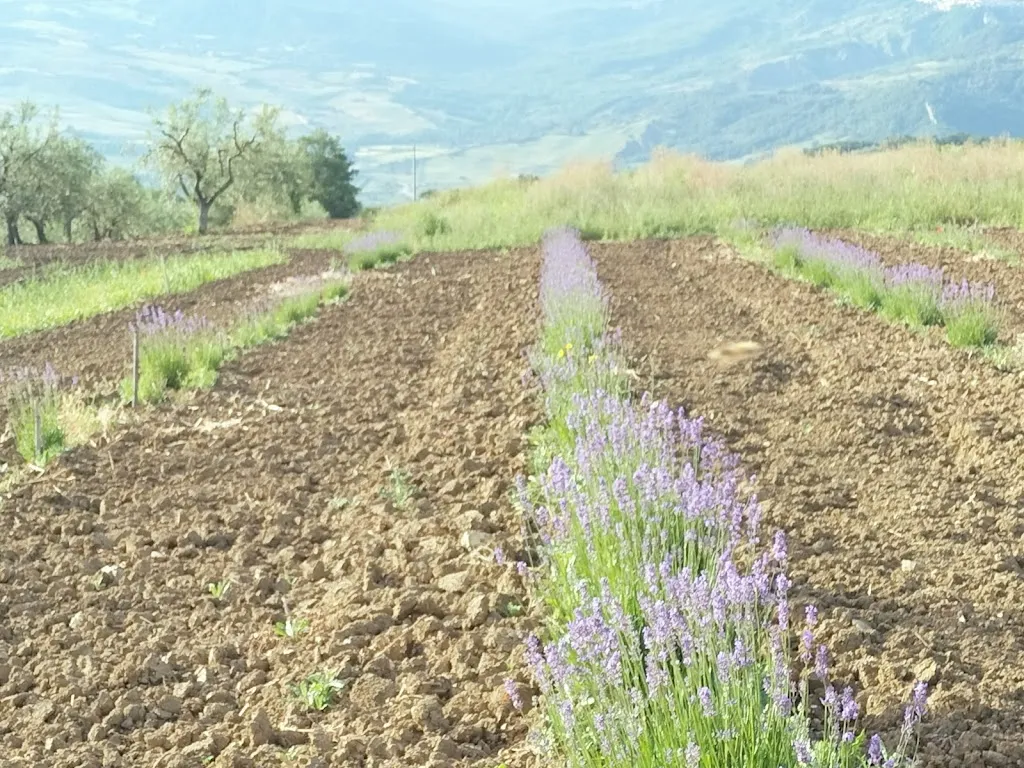 na Massari_Castelbottaccio_slider_image_3