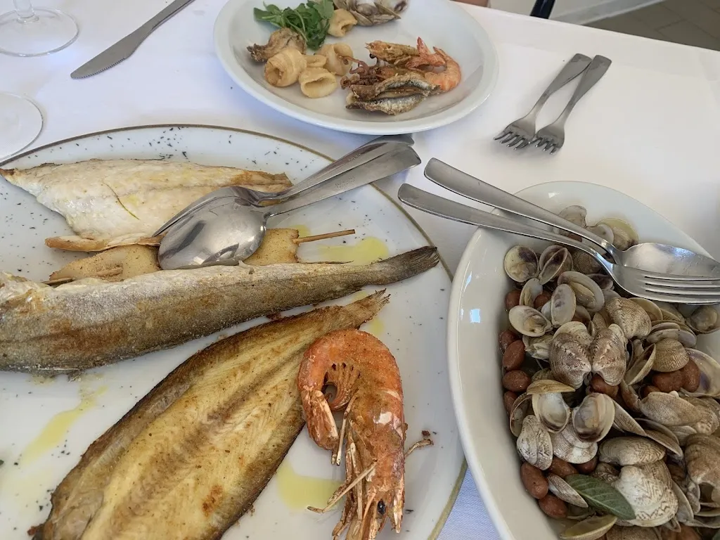 Rodolfo Rocha_Sensibus_Castelbottaccio_review