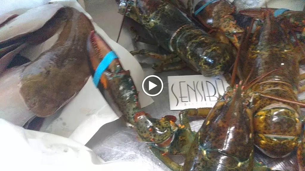 Sensibus_Castelbottaccio_slider_image_2