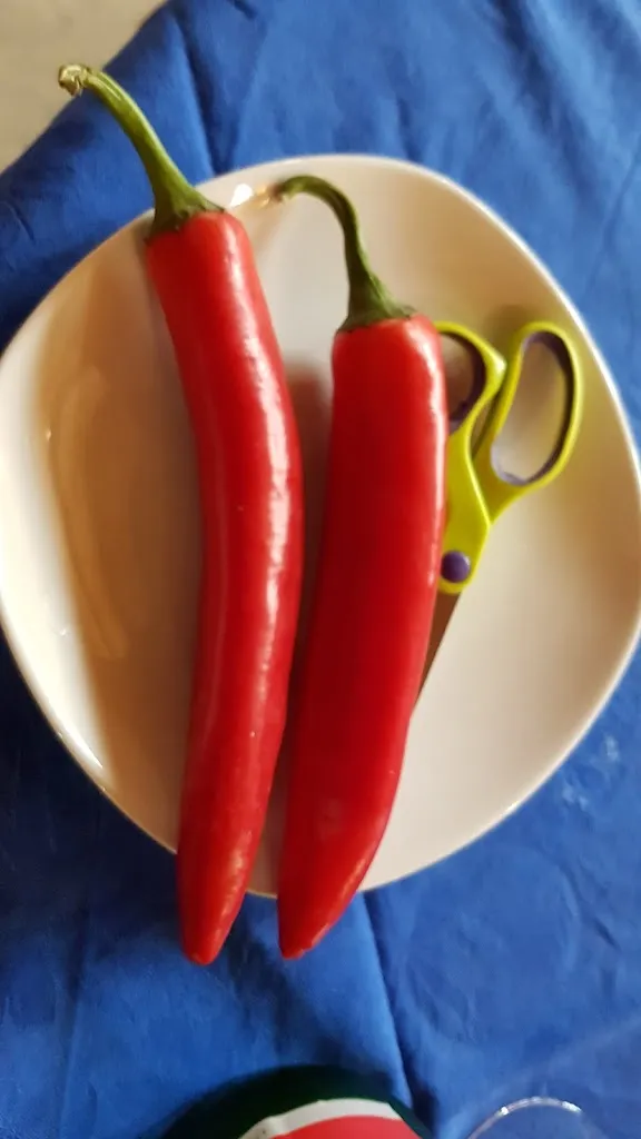 Menu_La Baia_Castellino del Biferno_image_6