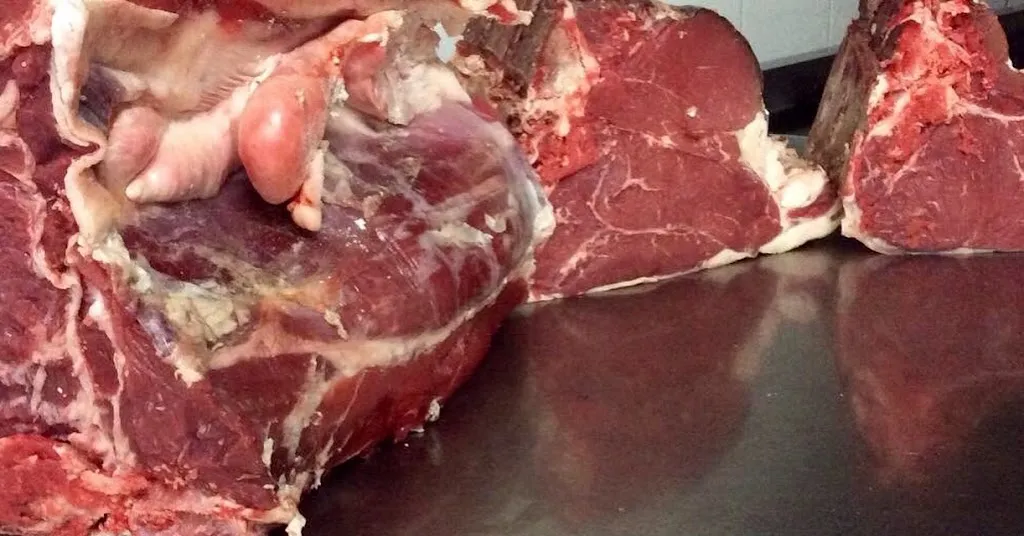 Chalet dei Faggi da DiDi_Castelmauro_slider_image_2