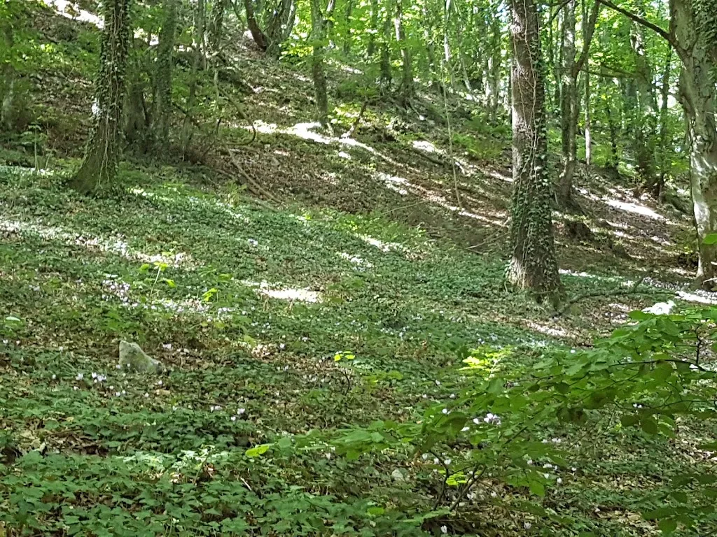 Chalet dei Faggi da DiDi_Castelmauro_slider_image_3