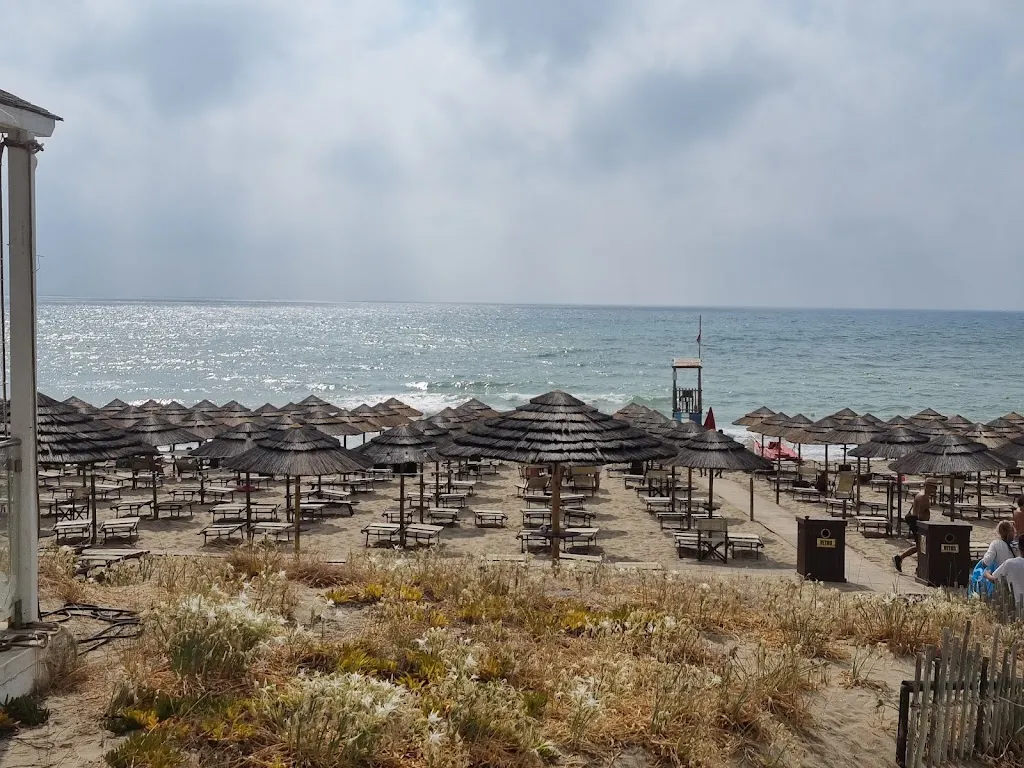 Frank B._Lido il Panda_Castellaneta_review