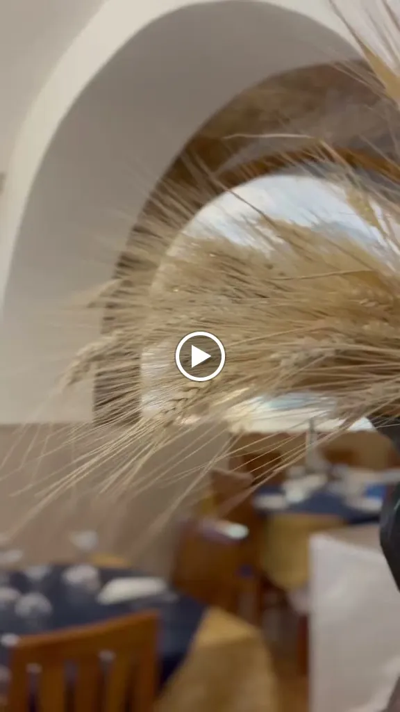 Trattoria Il Mare in Cantina_Campomarino_slider_image_2