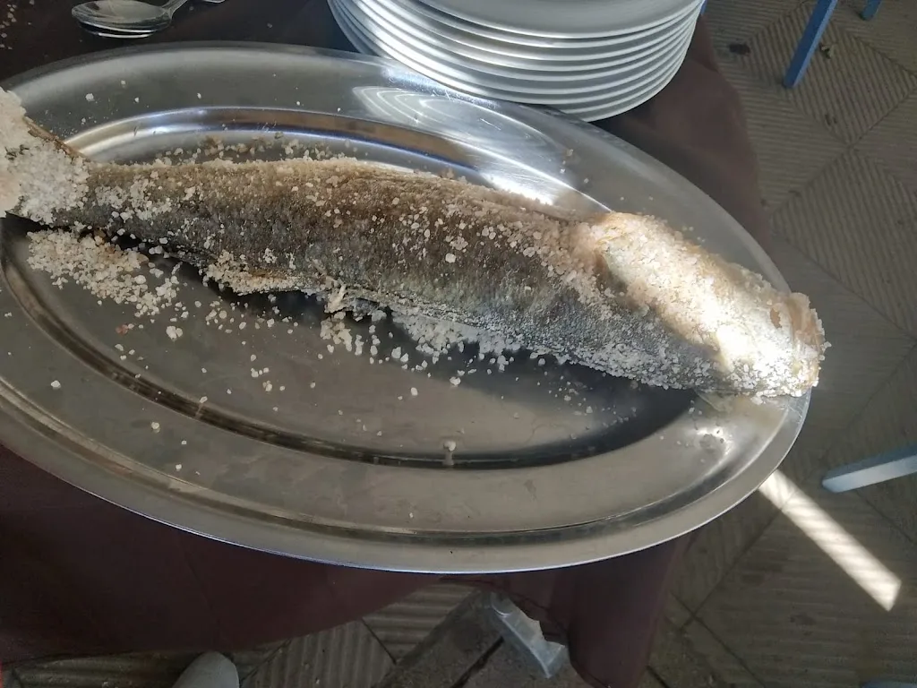 giacomo carollo_La Dolce Vita_Campomarino_recensione