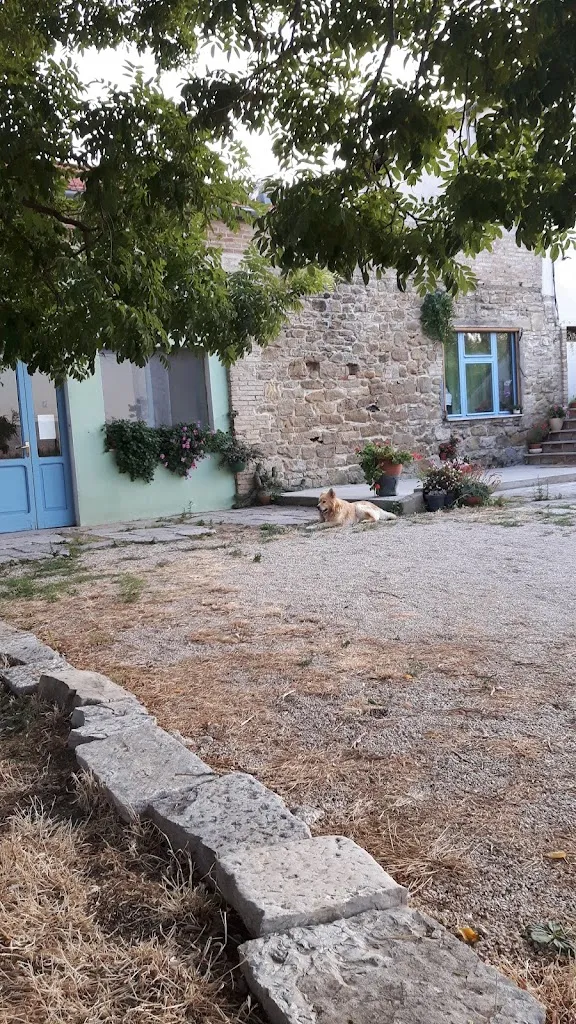 Vita Staffieri_L'Antica Rimessa_Campomarino_review