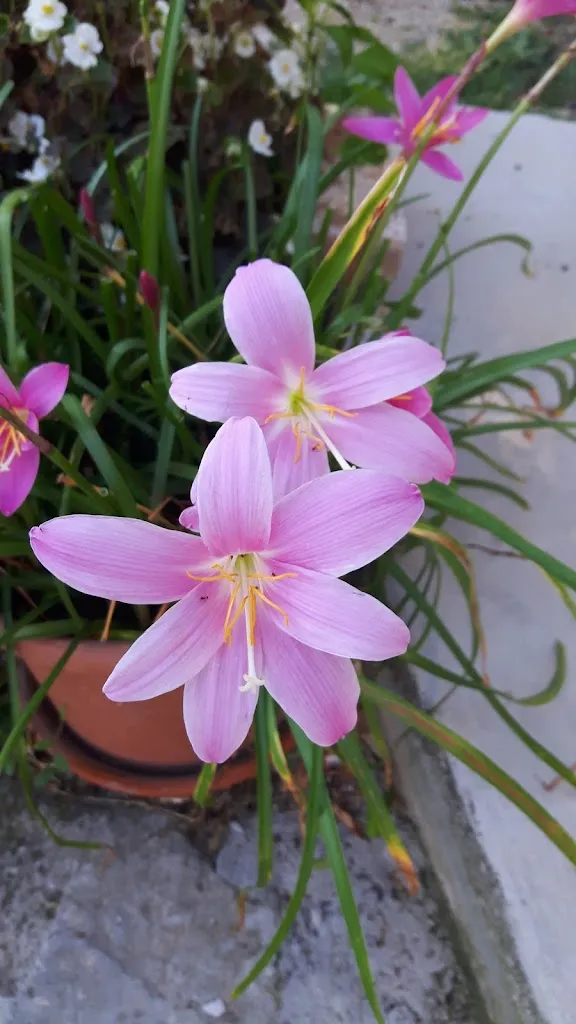 L'Antica Rimessa_Campomarino_slider_image_2