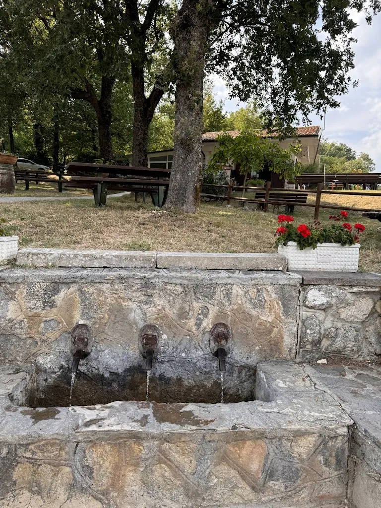 michele luigi crescentini_Bar La Taverna...snack bar...ristoro...gelati..panini_Castelpetroso_review