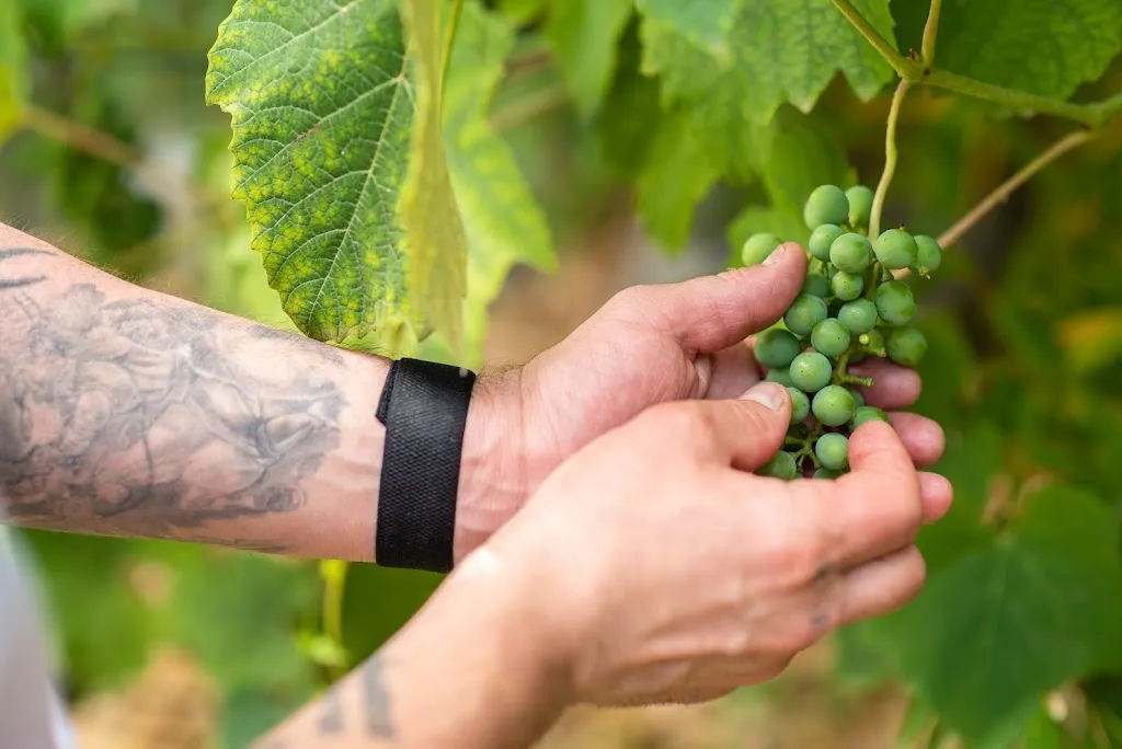 Palazzo De' Farrocco_Cerro al Volturno_slider_image_3