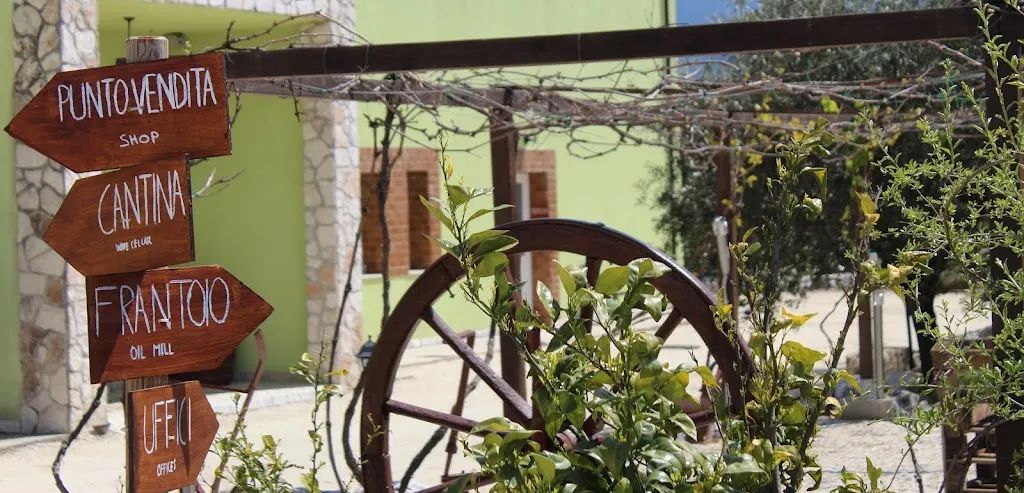 Azienda Agricola L'Arco Antico S.R.L._Conca Casale_slider_image_1