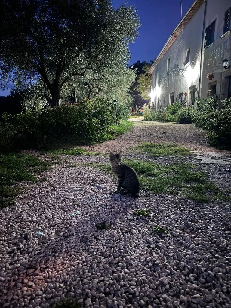 Amelie Nilsson_casale rurale verde collese_Colli a Volturno_review