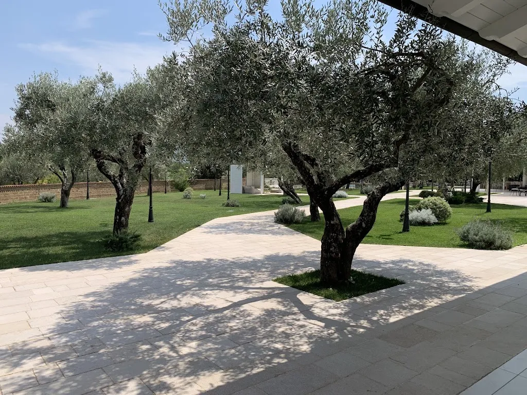 Cosmo Angiolilli_Il Parco degli Ulivi_Fornelli_review