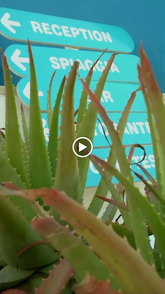 LA VELA CLUB_Castellaneta_slider_image_2