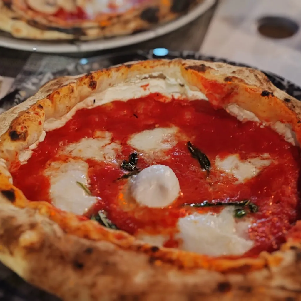 Andrea Caputo_Danisa_Guglionesi_review