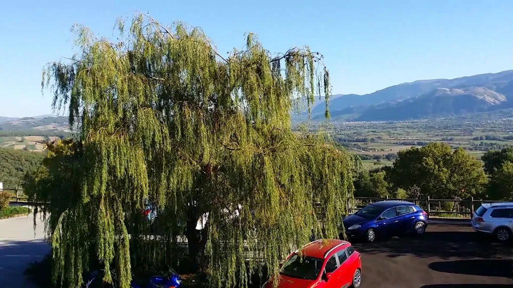 Agriturismo Zampacorta_Macchiagodena_slider_image_2