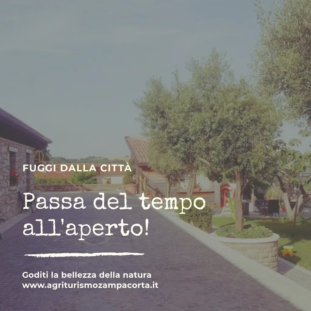 Agriturismo Zampacorta_Macchiagodena_slider_image_3