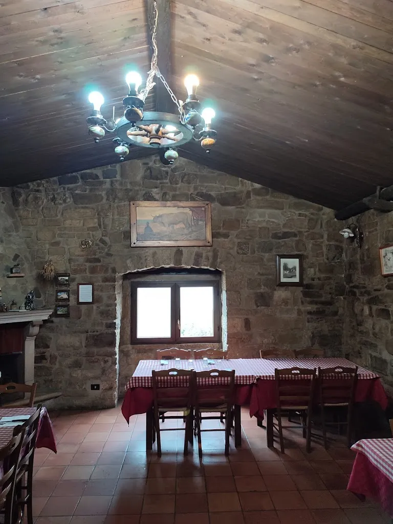 Marzio Forte_Agriturismo Horse's Ranch_Macchia Valfortore_review