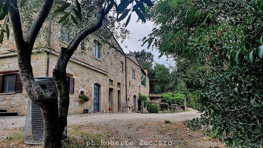 Agriturismo Horse's Ranch restaurant in Macchia Valfortore
