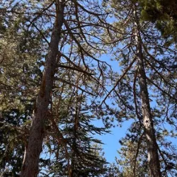 VENTIDUE 22_Montagano_slider_image_2