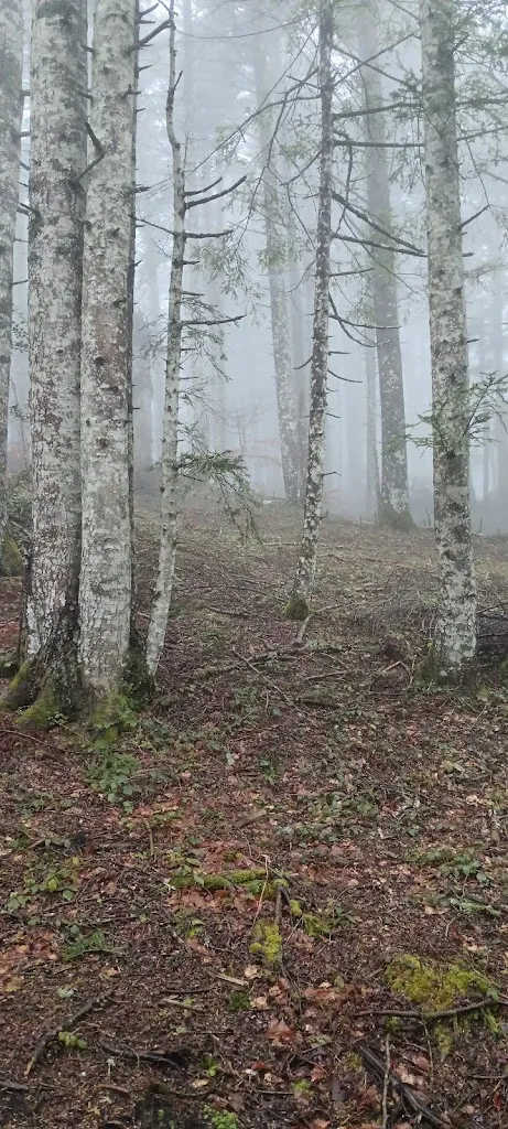 Gianni Scivola_Dimora Montagna Amica_Pescopennataro_review