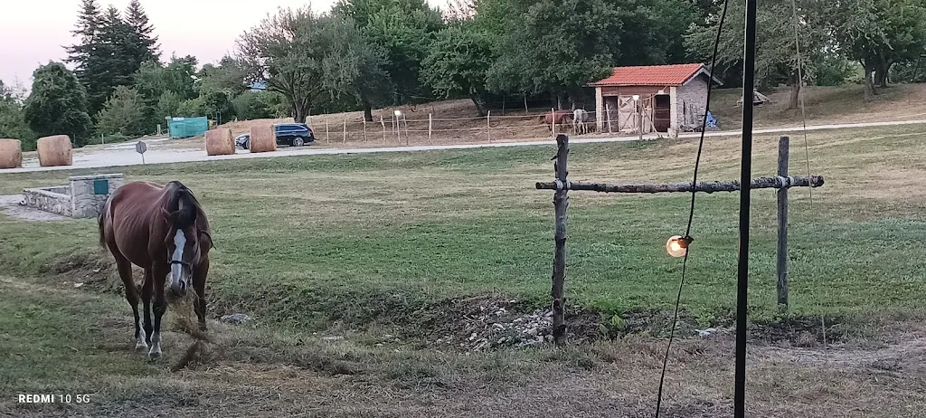 maria victoria del casale_Abete Bianco_Pescopennataro_recensione