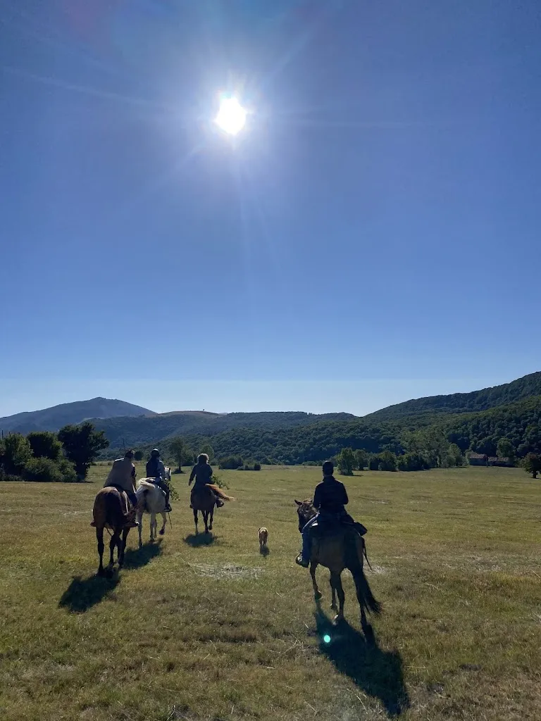 Lidia Castella_Abete Bianco_Pescopennataro_recensione