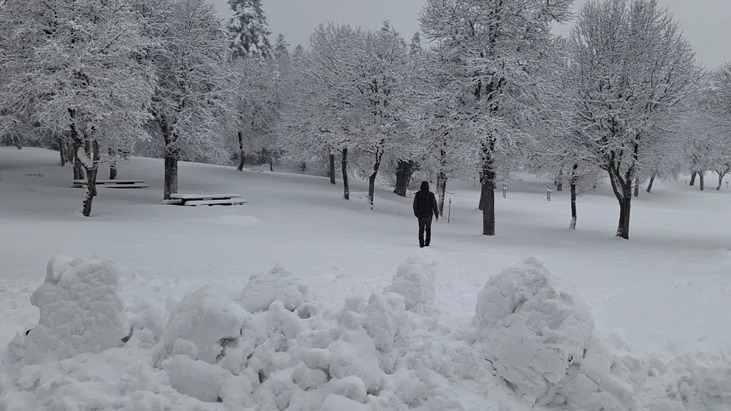 Abete Bianco_Pescopennataro_slider_image_2