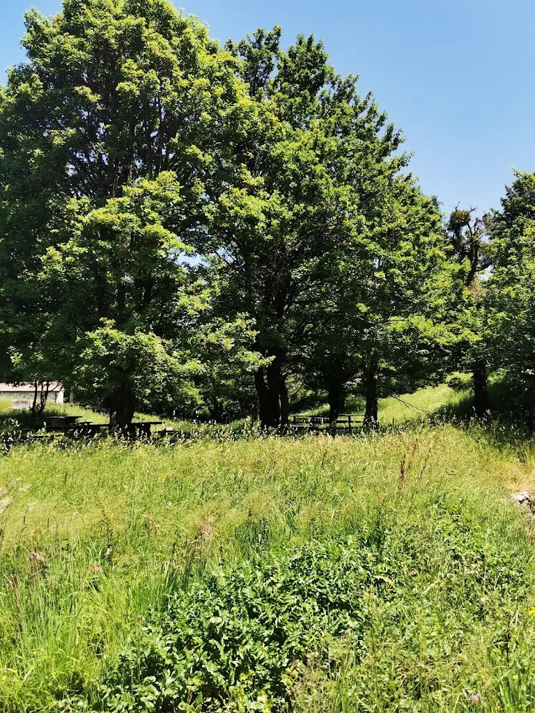 Alba Rossi_Rio Verde Park_Pescopennataro_review