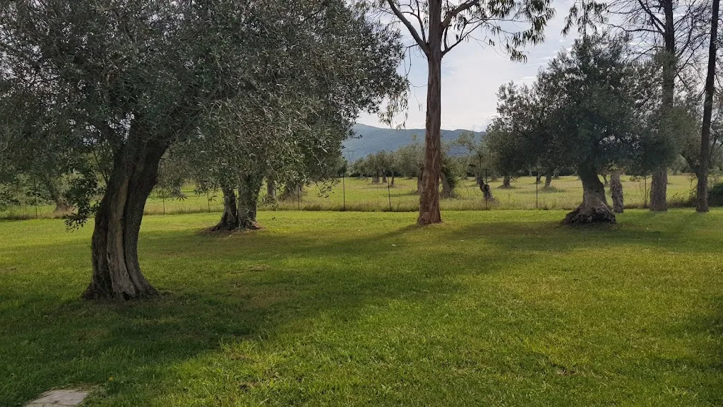 Lucio Tomasi_Matisse Bistrot_Pozzilli_review