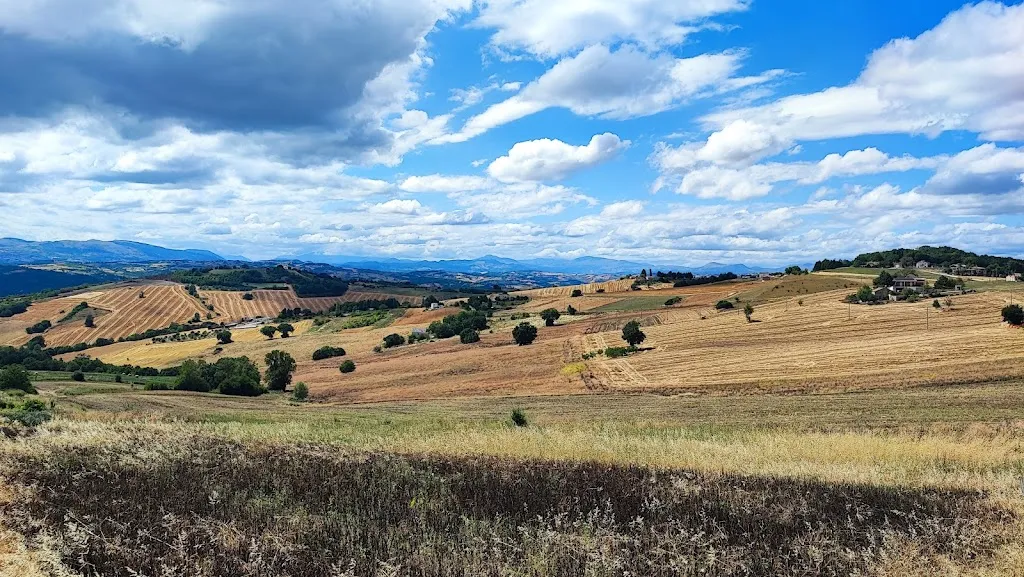 antonella massaro_Ristorante Regio Mare_Ripalimosani_review